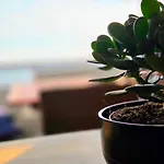 Διαμέρισμα Penthouse Seebrise *