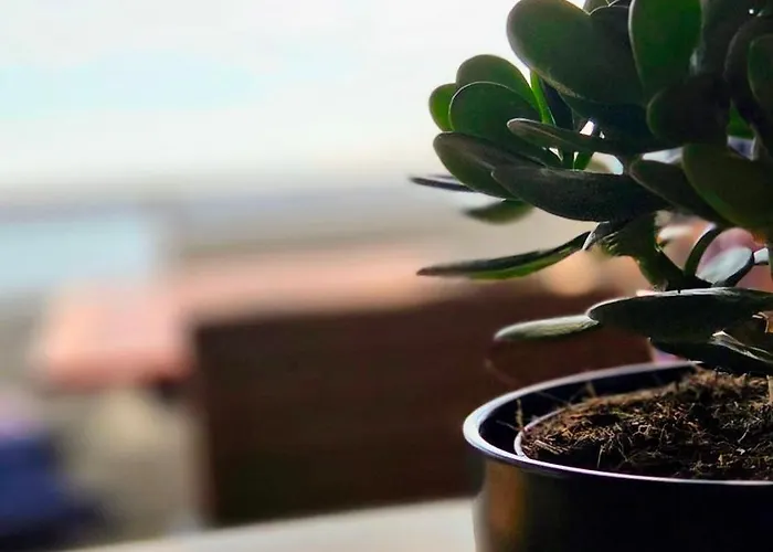 Appartement Penthouse Seebrise *